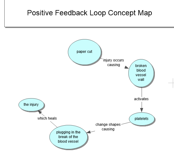 difference between positive and negative feedback loops